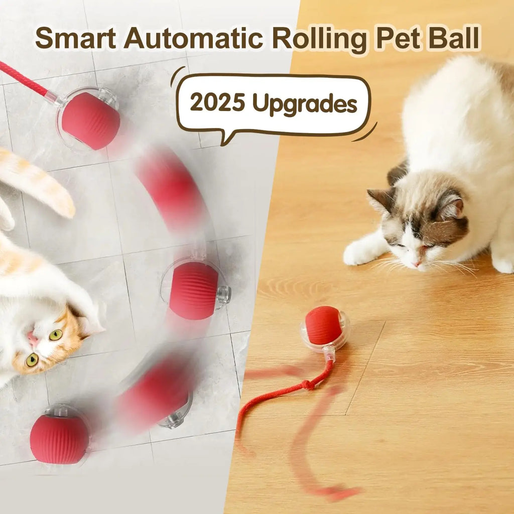 Echomi Smart Cat Ball