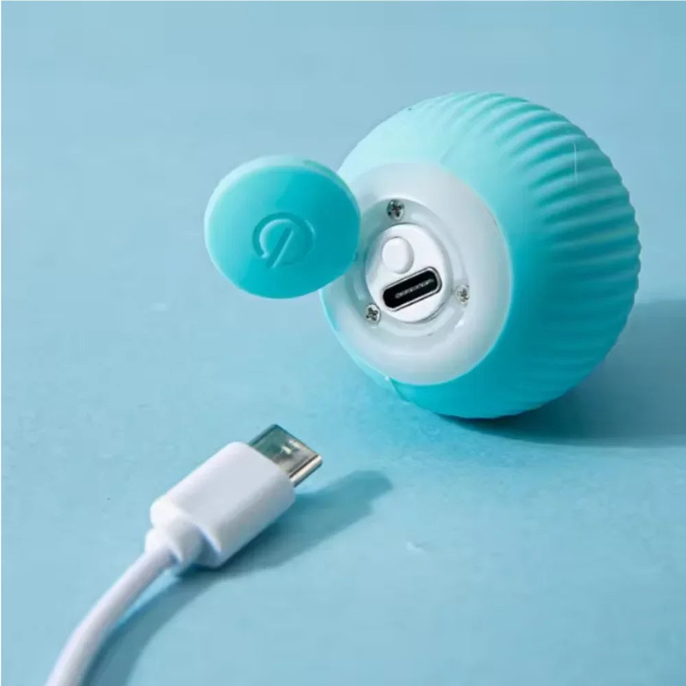 Echomi Automatic Cat Ball