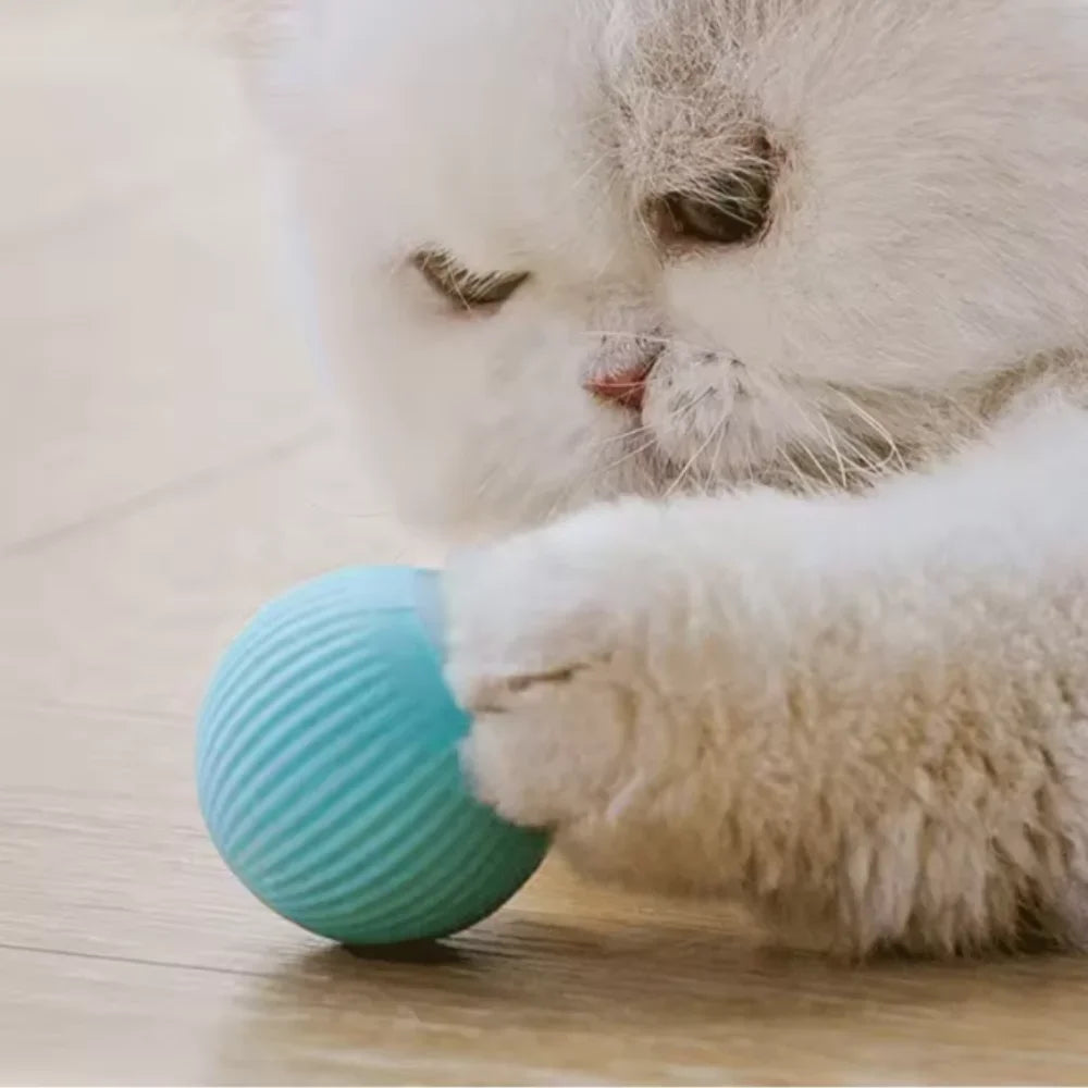 Echomi Automatic Cat Ball