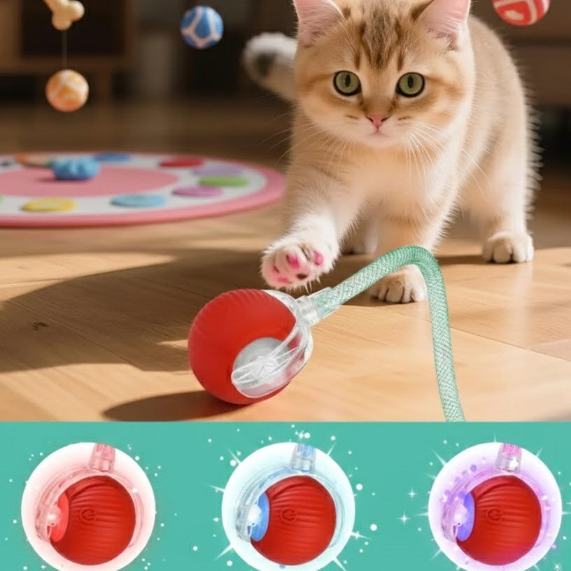 Echomi Smart Cat Ball