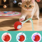 Echomi Smart Cat Ball